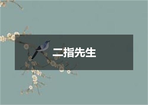 二指先生