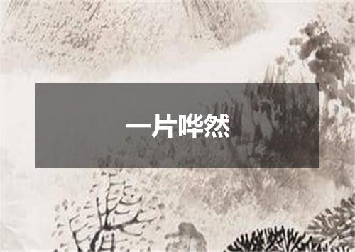 一片哗然