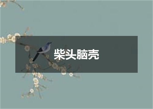 柴头脑壳