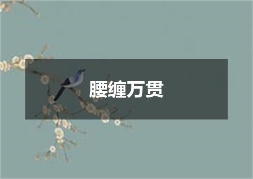 腰缠万贯