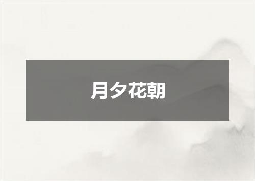 月夕花朝