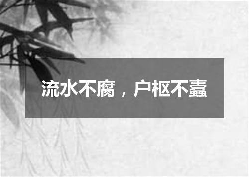 流水不腐，户枢不蠹