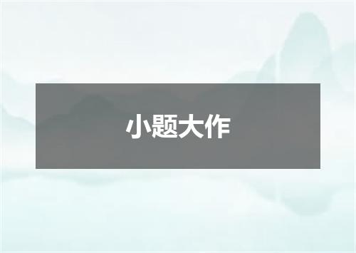 小题大作