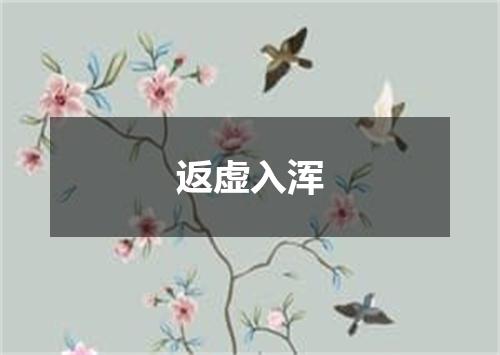 返虚入浑