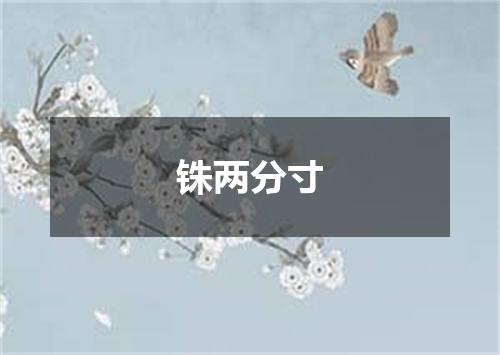 铢两分寸