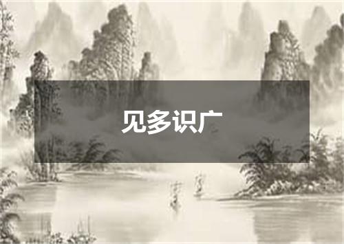 见多识广