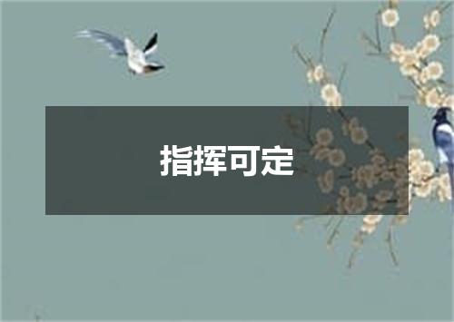 指挥可定是什么意思