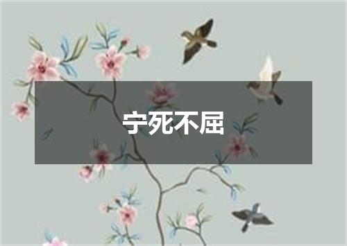 宁死不屈