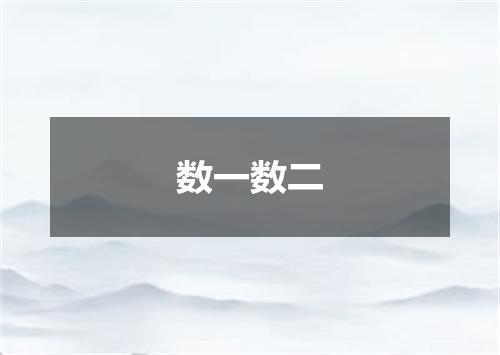 数一数二