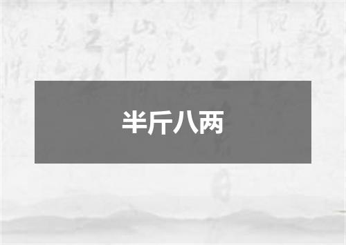半斤八两