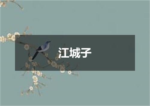 江城子