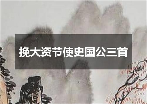 挽大资节使史国公三首
