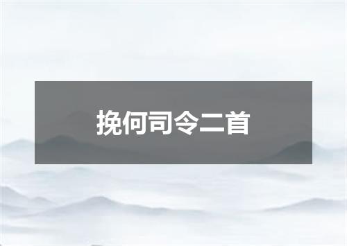 挽何司令二首