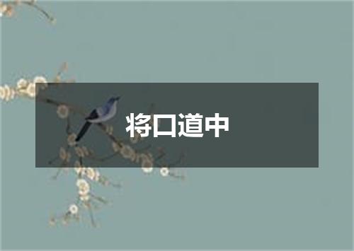 将口道中