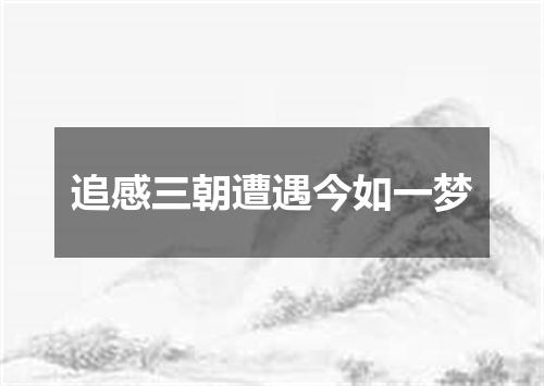 追感三朝遭遇今如一梦