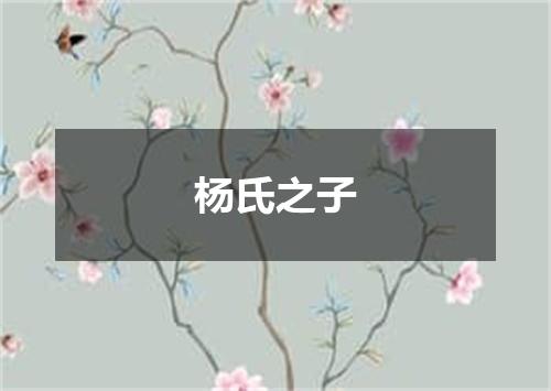 杨氏之子