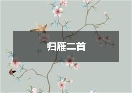 归雁二首