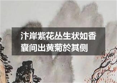 汴岸紫花丛生状如香囊间出黄菊於其侧