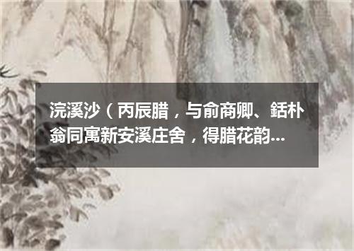 浣溪沙（丙辰腊，与俞商卿、銛朴翁同寓新安溪庄舍，得腊花韵甚，赋二首）