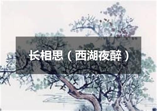 长相思（西湖夜醉）