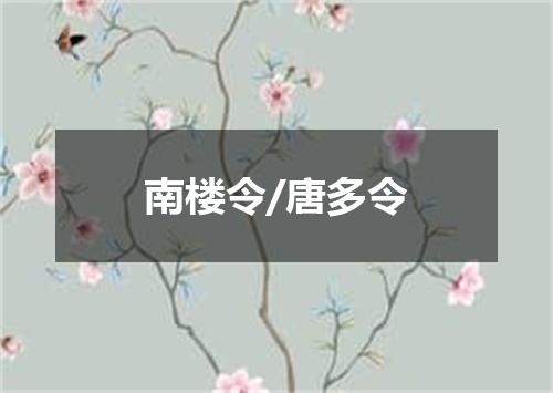 南楼令/唐多令
