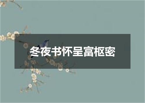 冬夜书怀呈富枢密