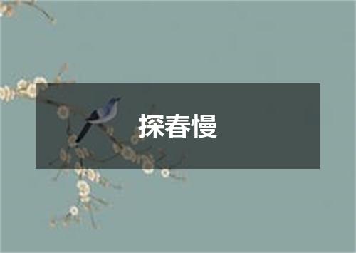 探春慢