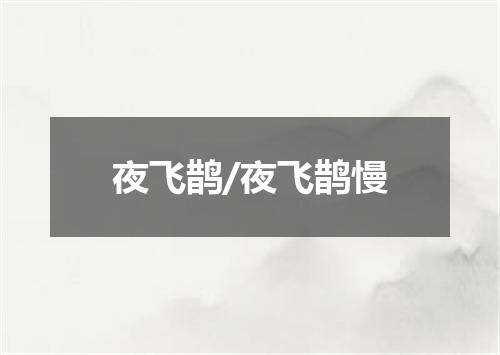 夜飞鹊/夜飞鹊慢