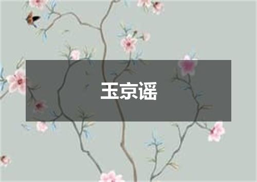 玉京谣