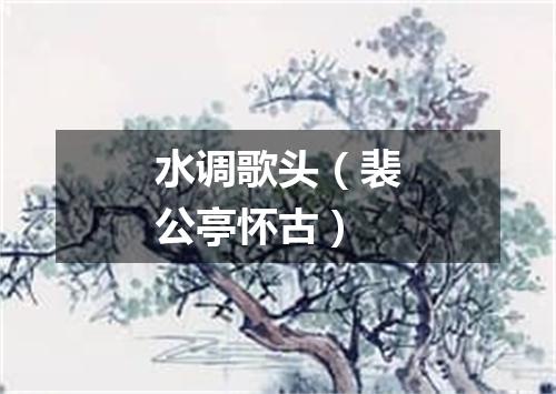 水调歌头（裴公亭怀古）