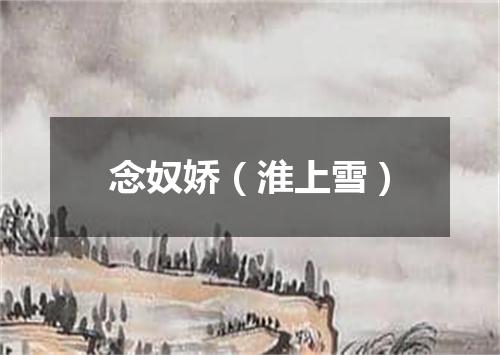 念奴娇（淮上雪）