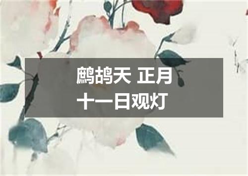 鹧鸪天 正月十一日观灯