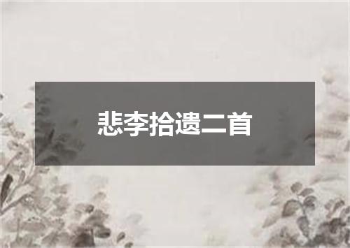 悲李拾遗二首