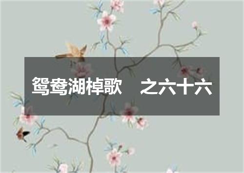 鸳鸯湖棹歌　之六十六