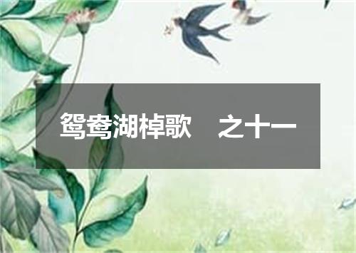 鸳鸯湖棹歌　之十一