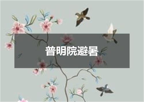 普明院避暑