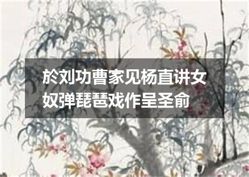 於刘功曹家见杨直讲女奴弹琵琶戏作呈圣俞