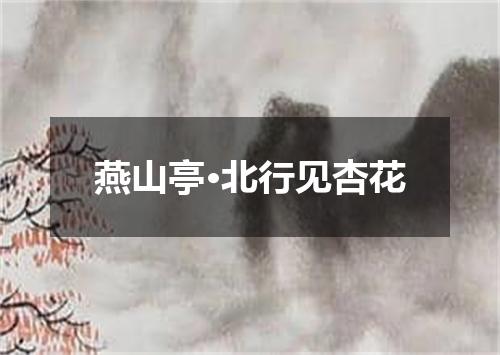 燕山亭·北行见杏花