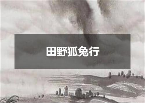 田野狐兔行