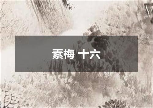 素梅 十六