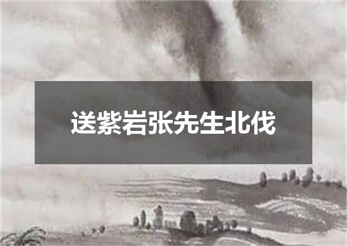 送紫岩张先生北伐