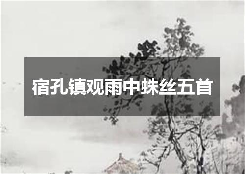 宿孔镇观雨中蛛丝五首