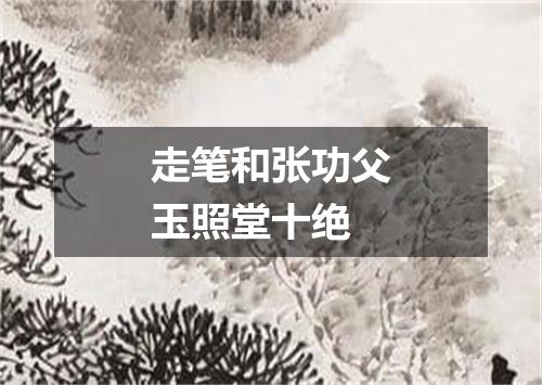 走笔和张功父玉照堂十绝