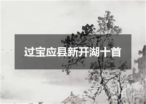 过宝应县新开湖十首