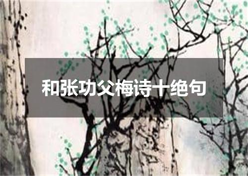 和张功父梅诗十绝句