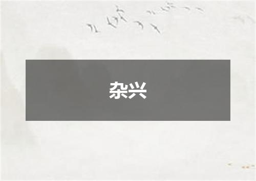 杂兴