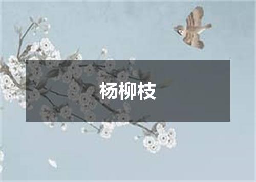 杨柳枝