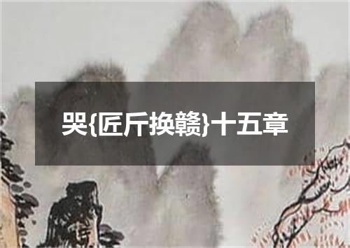 哭{匠斤换赣}十五章
