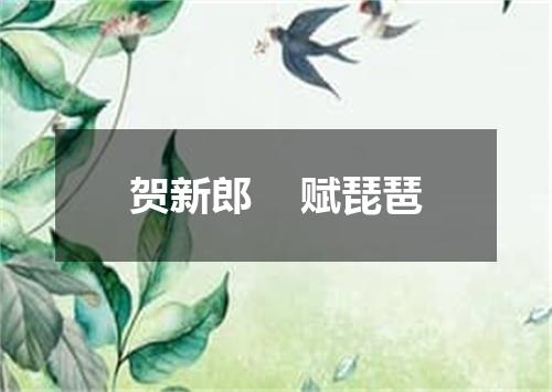 贺新郎    赋琵琶