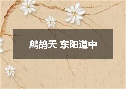 鹧鸪天 东阳道中